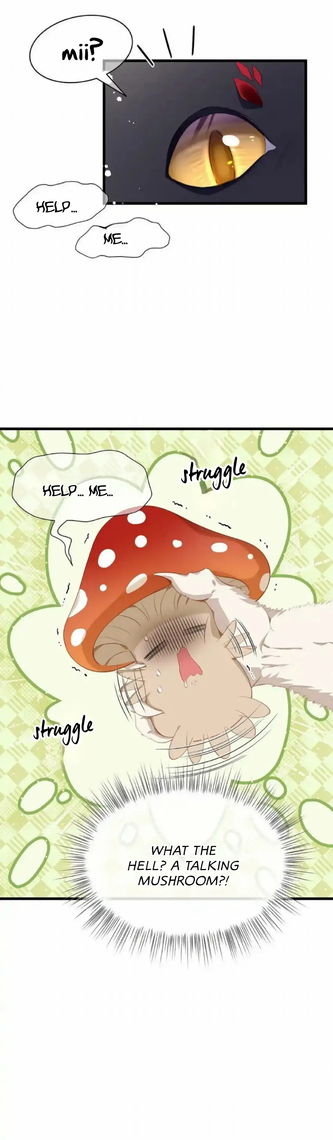 I Was Reborn as His Highness the Prince’s Little Evil Dragon Chapter 14 70 15