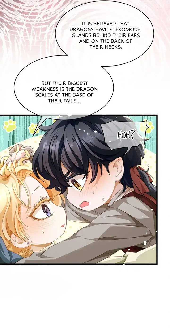I Was Reborn as His Highness the Prince’s Little Evil Dragon Chapter 21 97 13