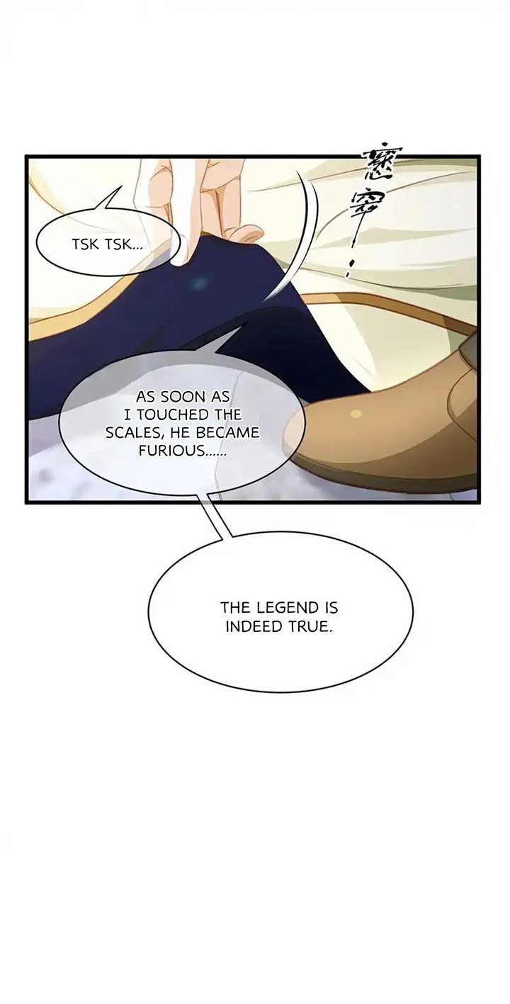 I Was Reborn as His Highness the Prince’s Little Evil Dragon Chapter 21 100 16