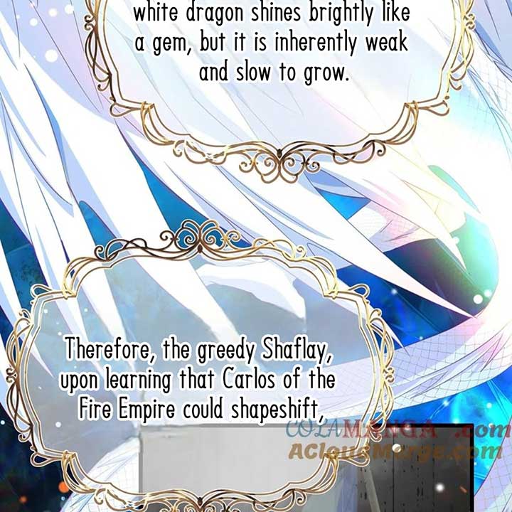 I Was Reborn as His Highness the Prince’s Little Evil Dragon Chapter 35 168 05