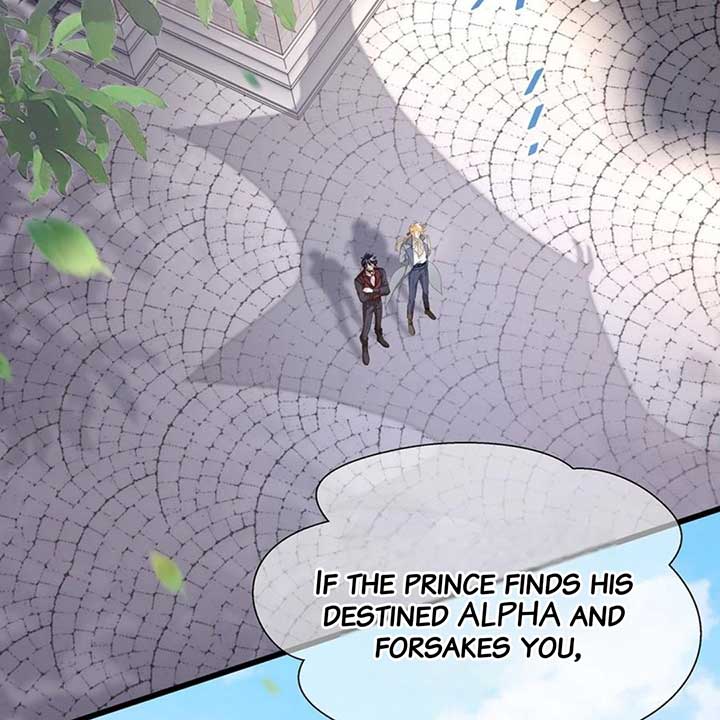 I Was Reborn as His Highness the Prince’s Little Evil Dragon Chapter 35 179 16