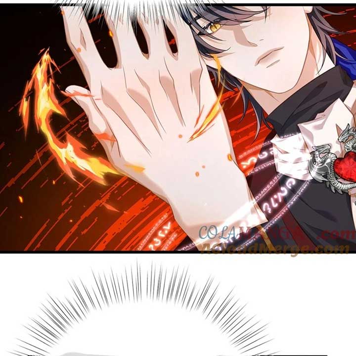 I Was Reborn as His Highness the Prince’s Little Evil Dragon Chapter 35 210 47