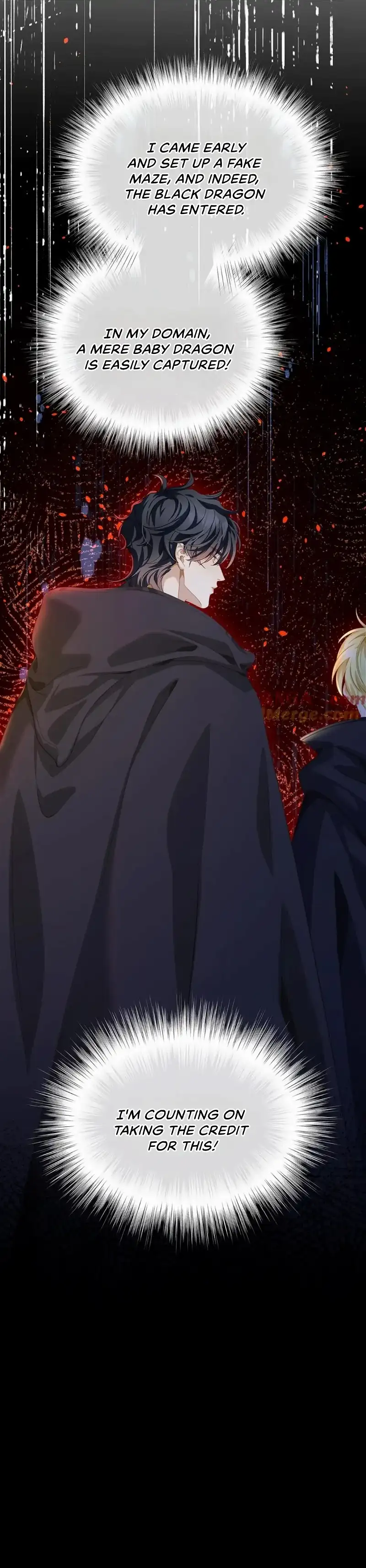 I Was Reborn as His Highness the Prince’s Little Evil Dragon Chapter 46 70 15