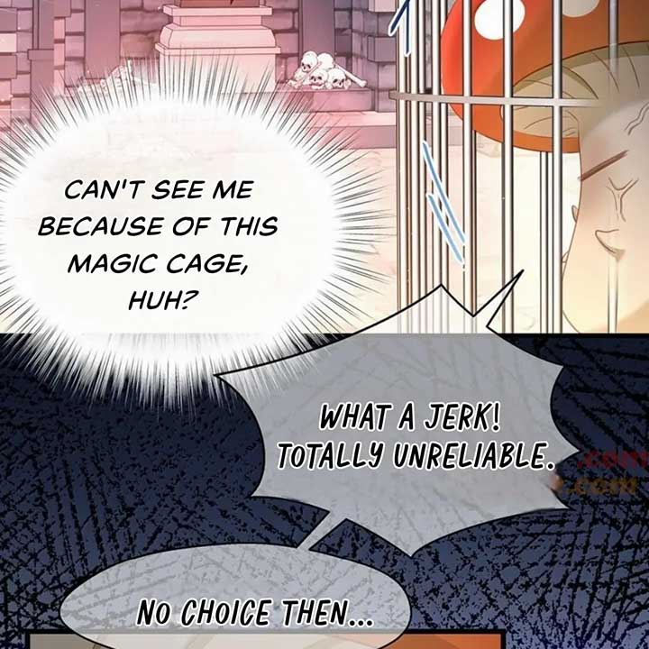 I Was Reborn as His Highness the Prince’s Little Evil Dragon Chapter 61 172 27
