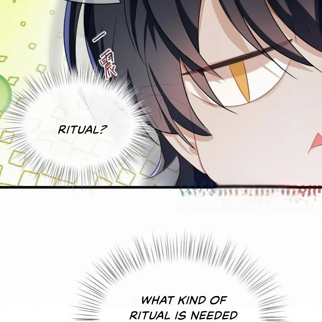 I Was Reborn as His Highness the Prince’s Little Evil Dragon Chapter 62 86 07