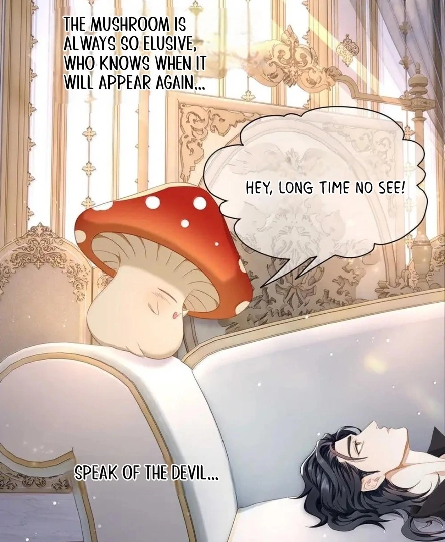 I Was Reborn as His Highness the Prince’s Little Evil Dragon Chapter 66 109 12