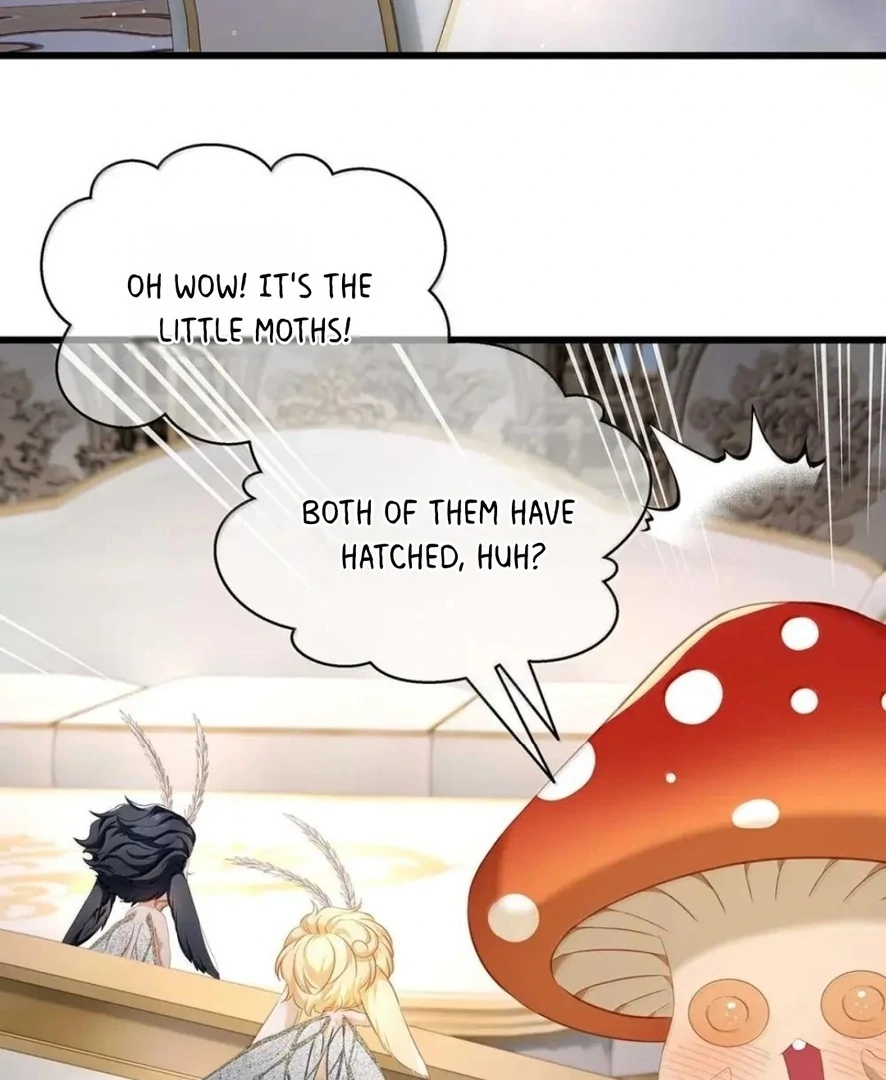 I Was Reborn as His Highness the Prince’s Little Evil Dragon Chapter 66 110 13