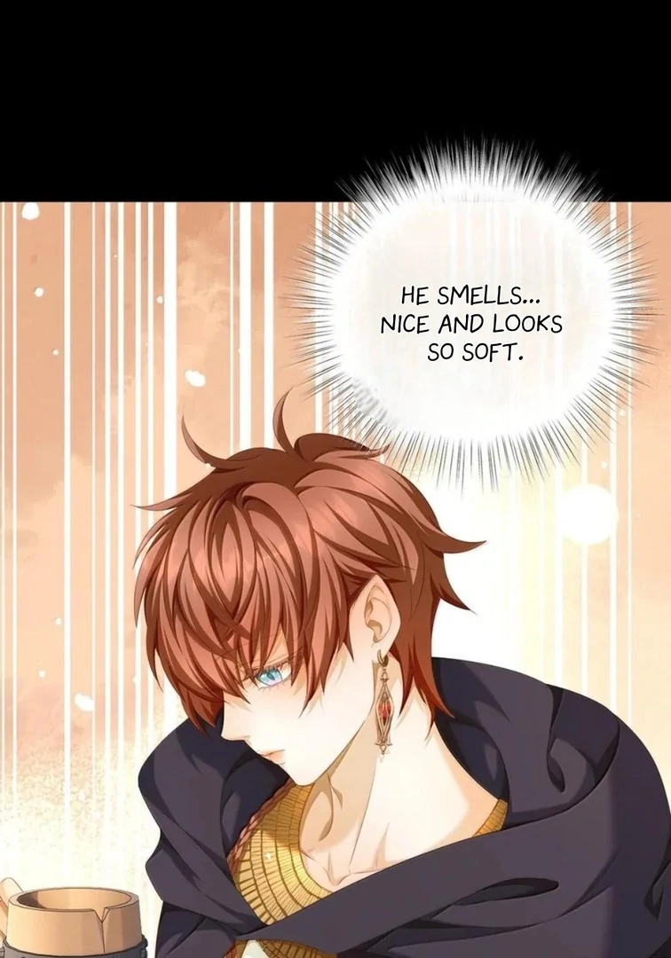 I Was Reborn as His Highness the Prince’s Little Evil Dragon Chapter 74 93 02