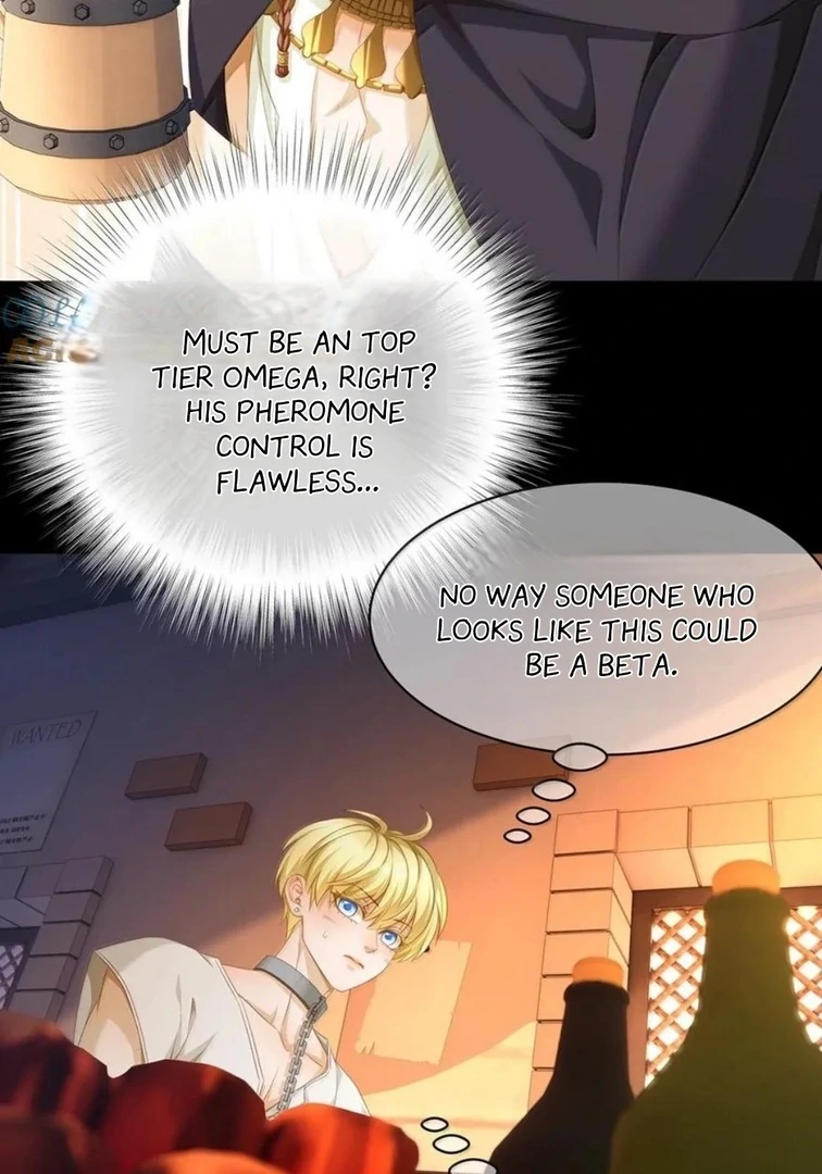 I Was Reborn as His Highness the Prince’s Little Evil Dragon Chapter 74 94 03