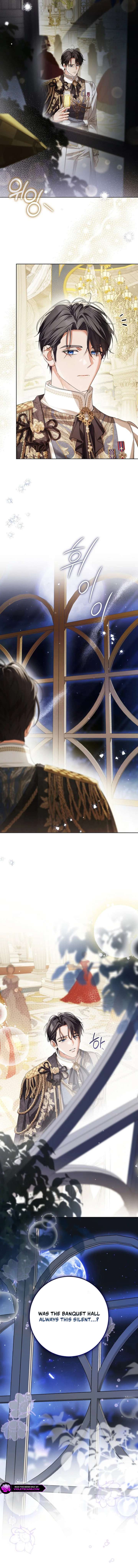 ch 95 15
