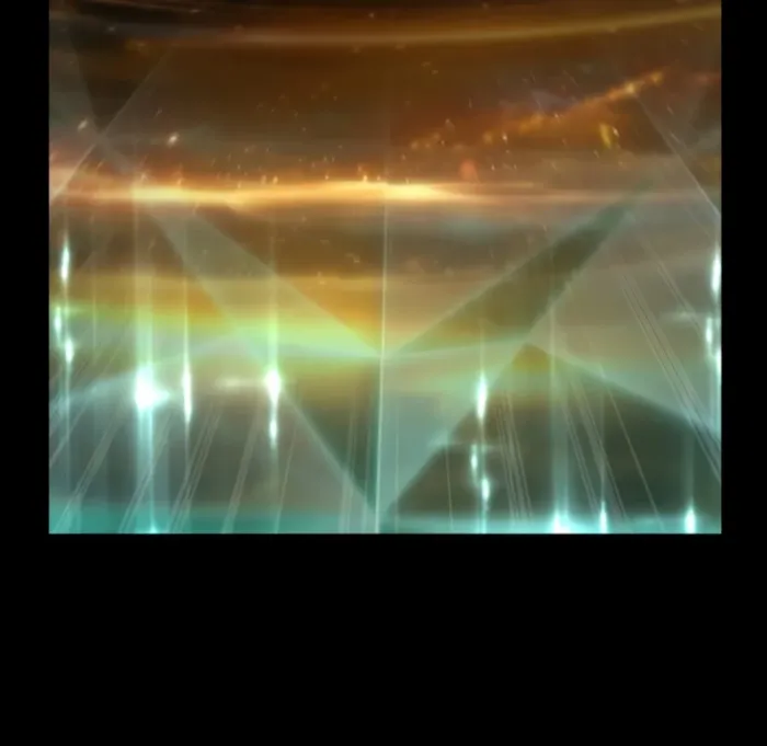 009