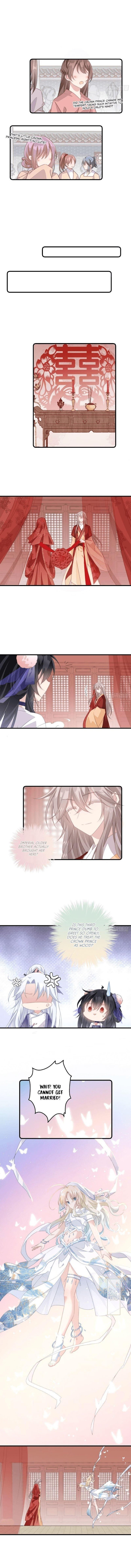 Pet the Little Princess Chapter 31 29 4 o