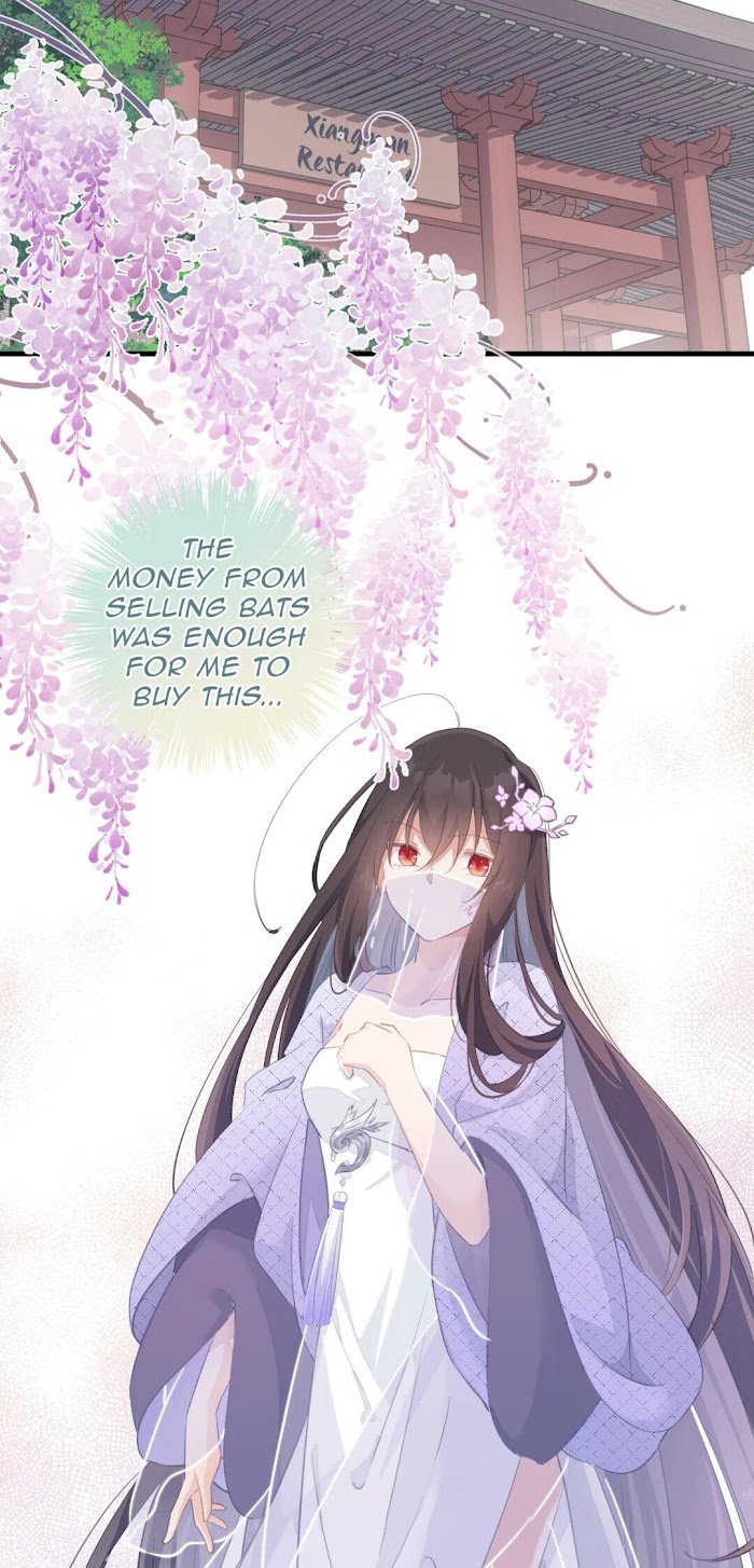 16 o