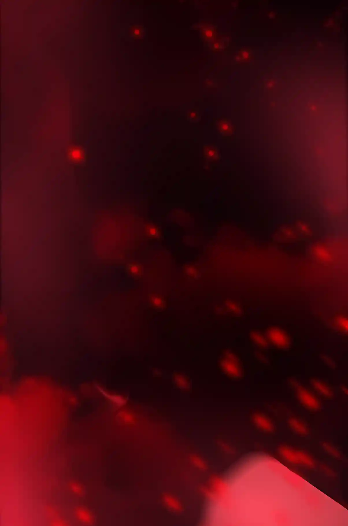c0b2d79e8420