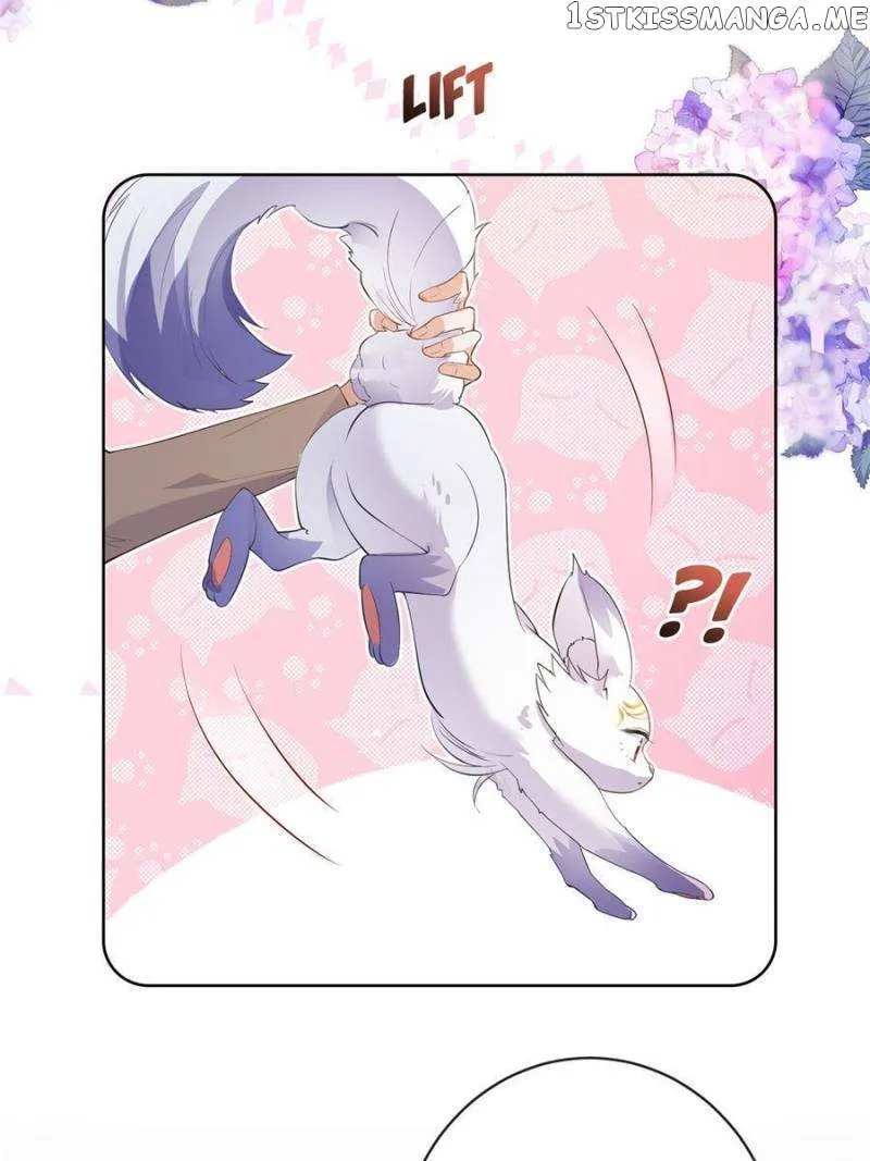 The Killer Boss is raising a Fox Chapter 69 159 b42801eeb133