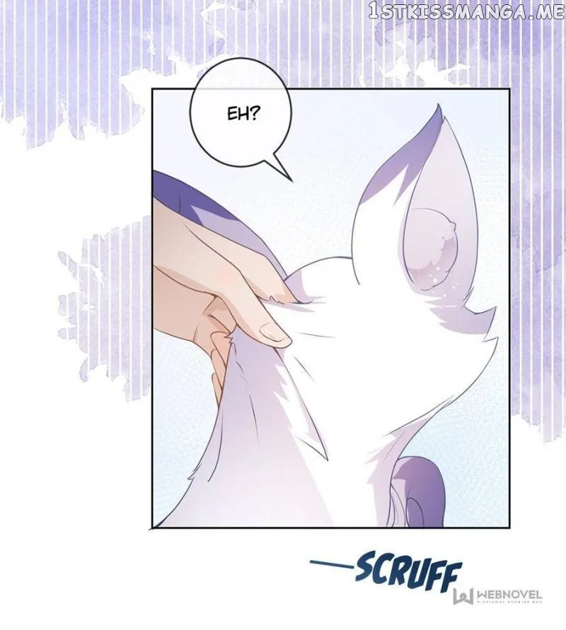 The Killer Boss is raising a Fox Chapter 72 176 571eb2c7edfb