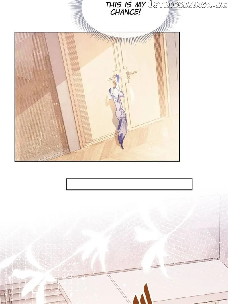 The Killer Boss is raising a Fox Chapter 73 144 fc3d4792709c