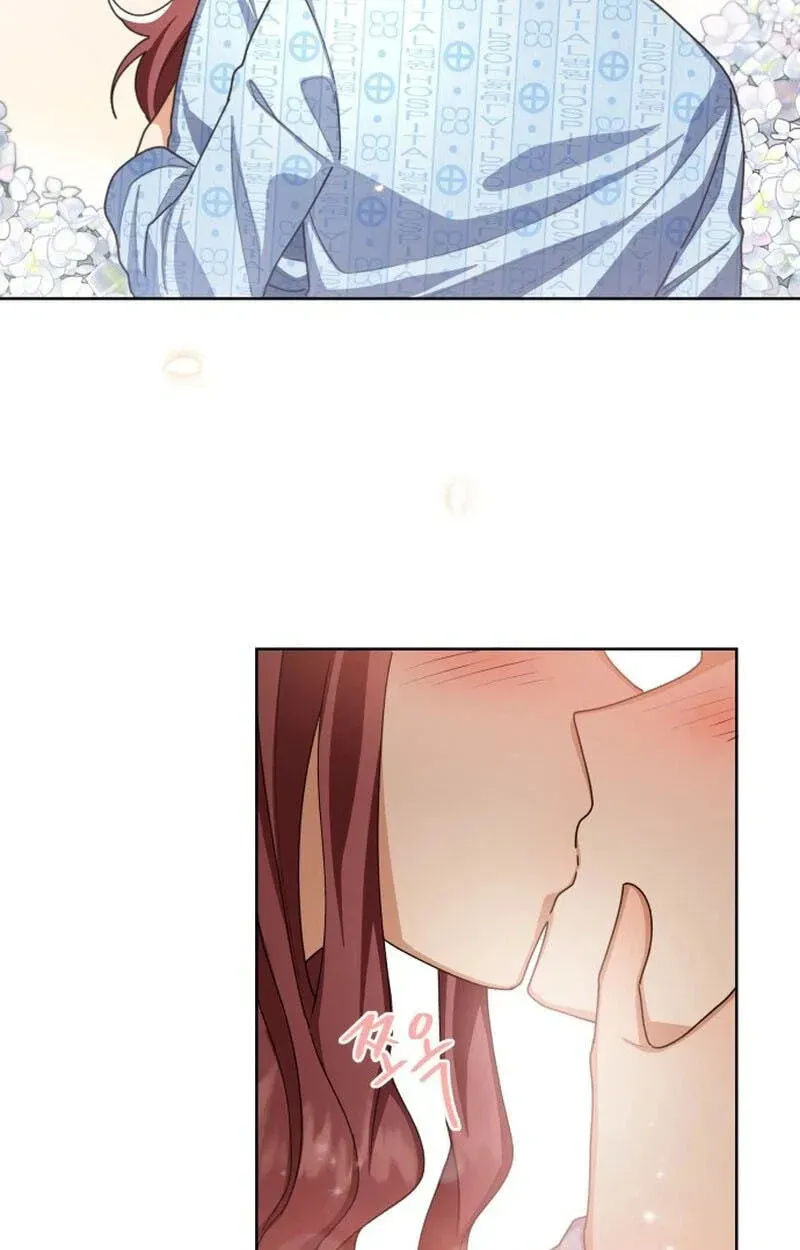 113b8d31c5b4