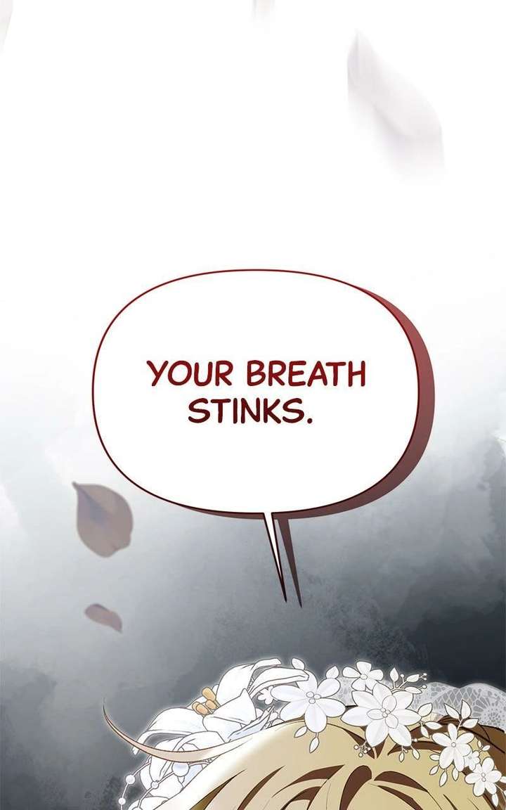 ch 24 4