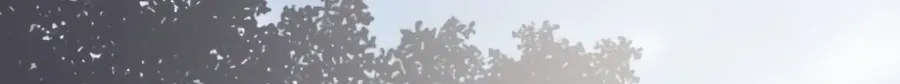 eb601d02787e