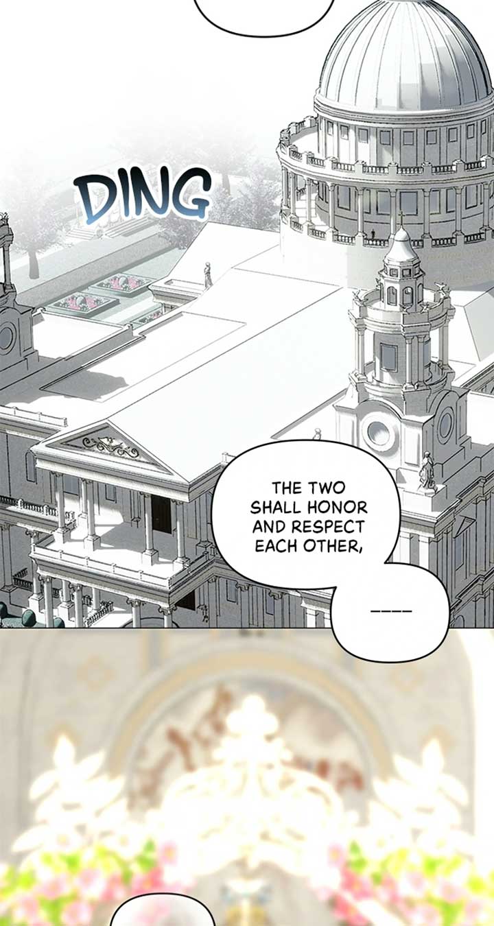81
