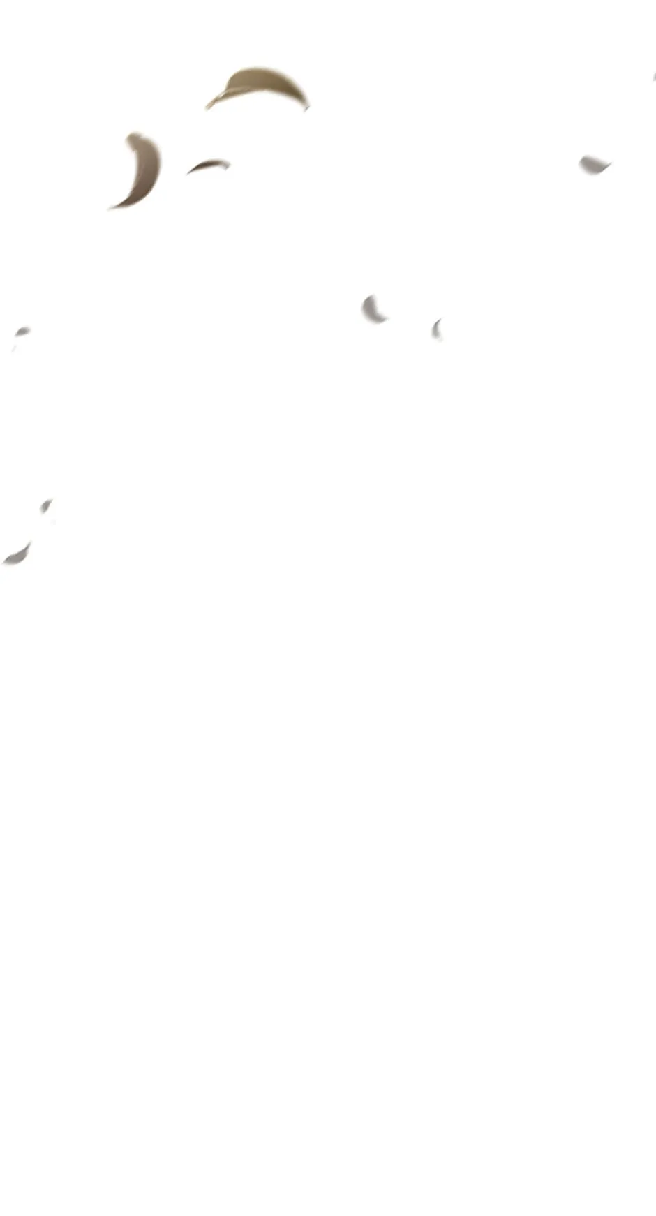 62