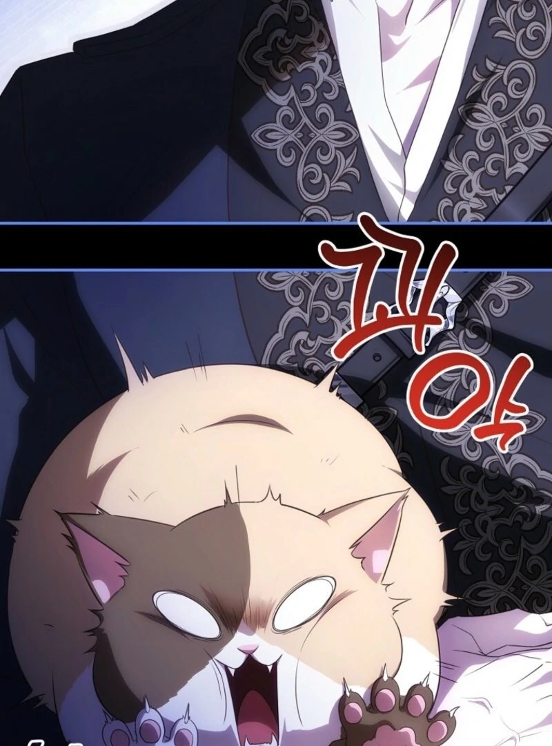 146