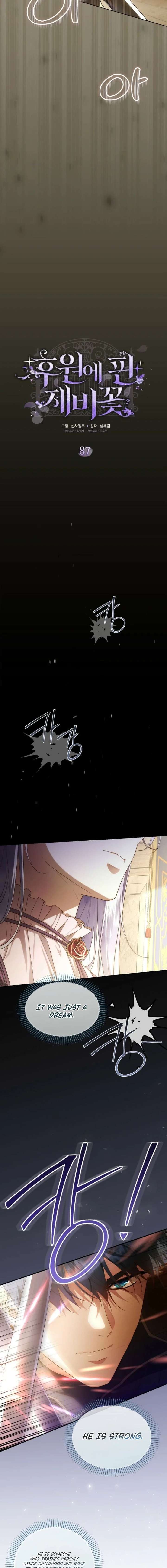 ch 87 5
