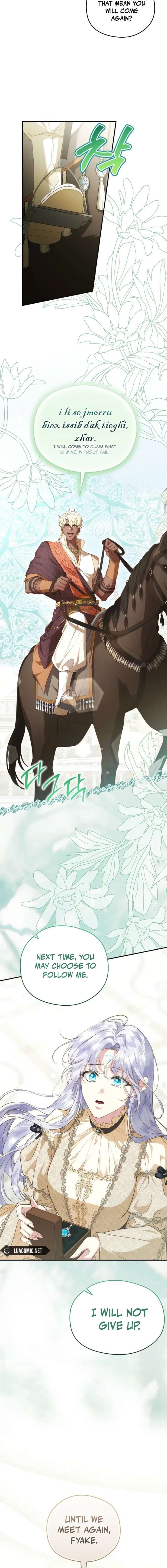ch 91 6
