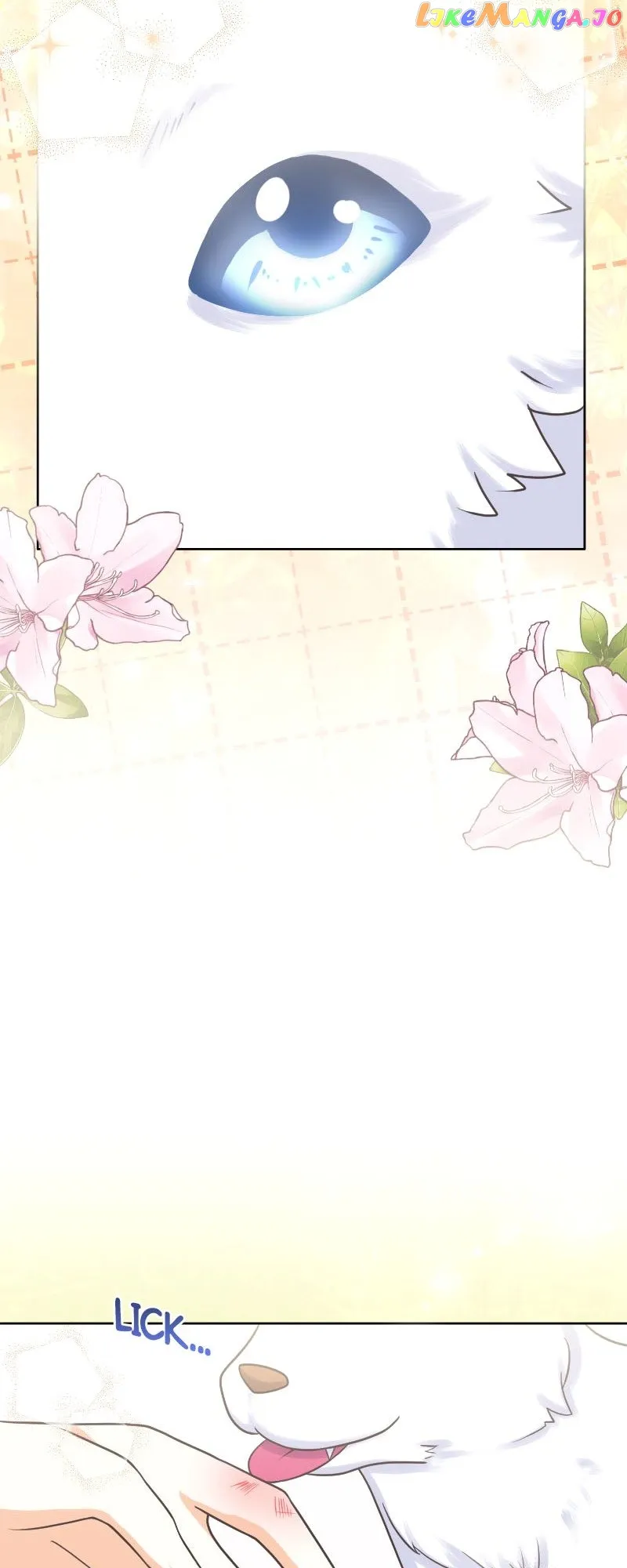 Please Fulfill Your End of the Bargain, My Grace! Chapter 19 261 32