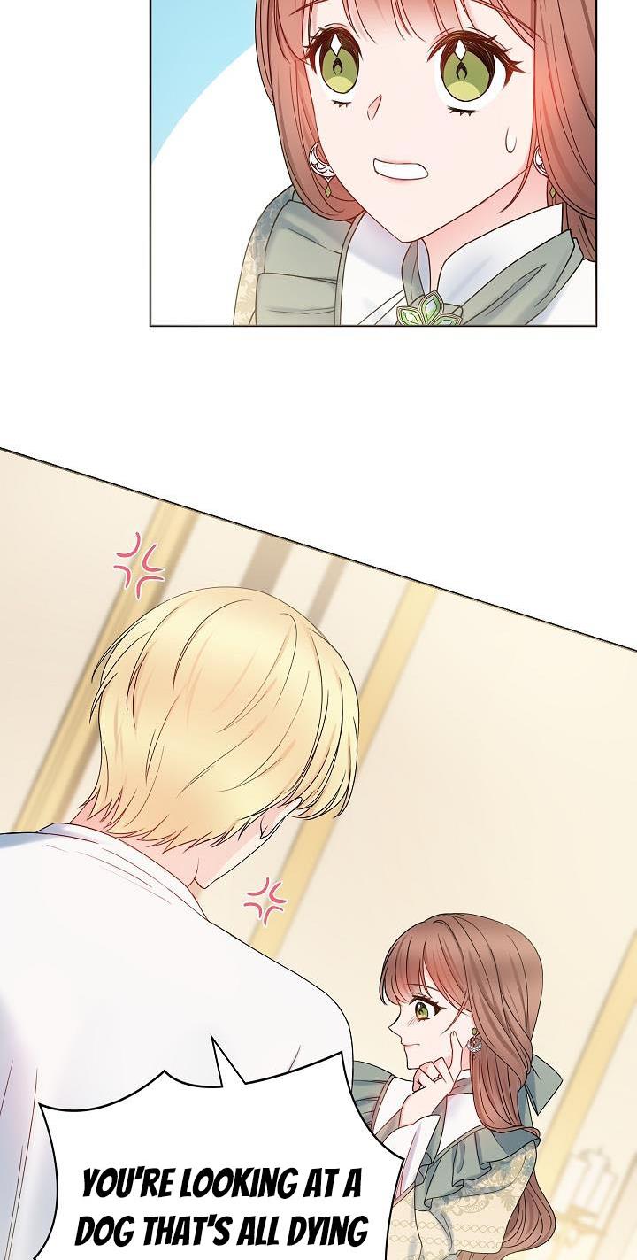 Sickly? Husband’s Contractual Wife Chapter 2 290 42