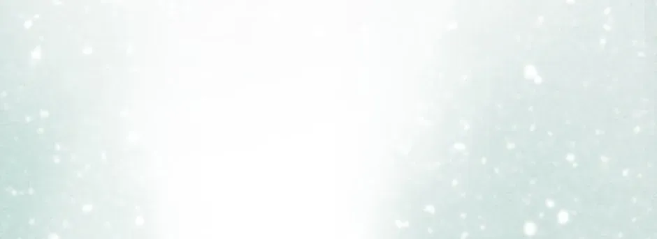 e8fd0f704a02