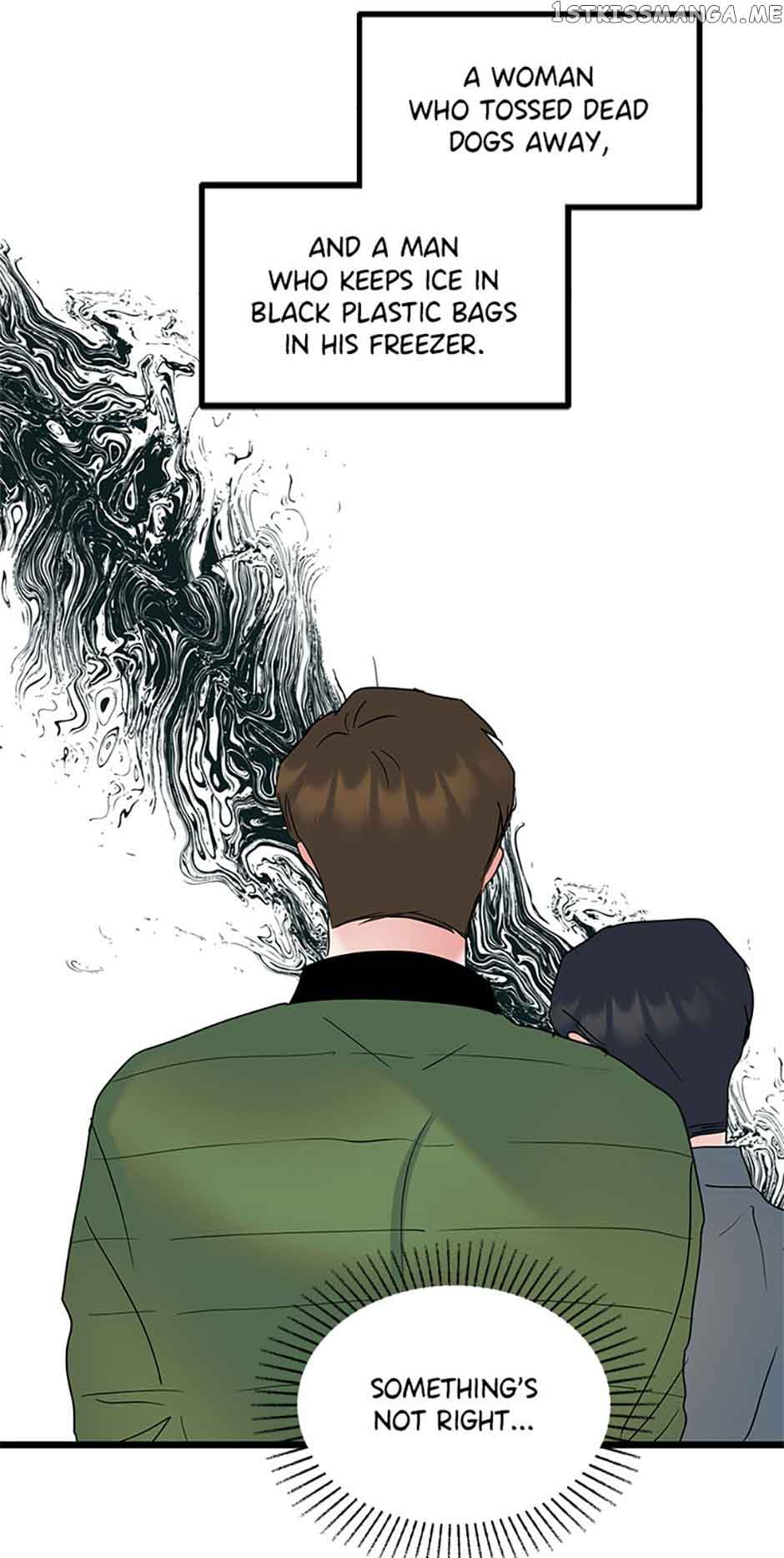41