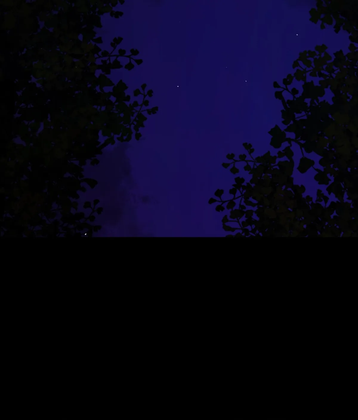 29c315922389