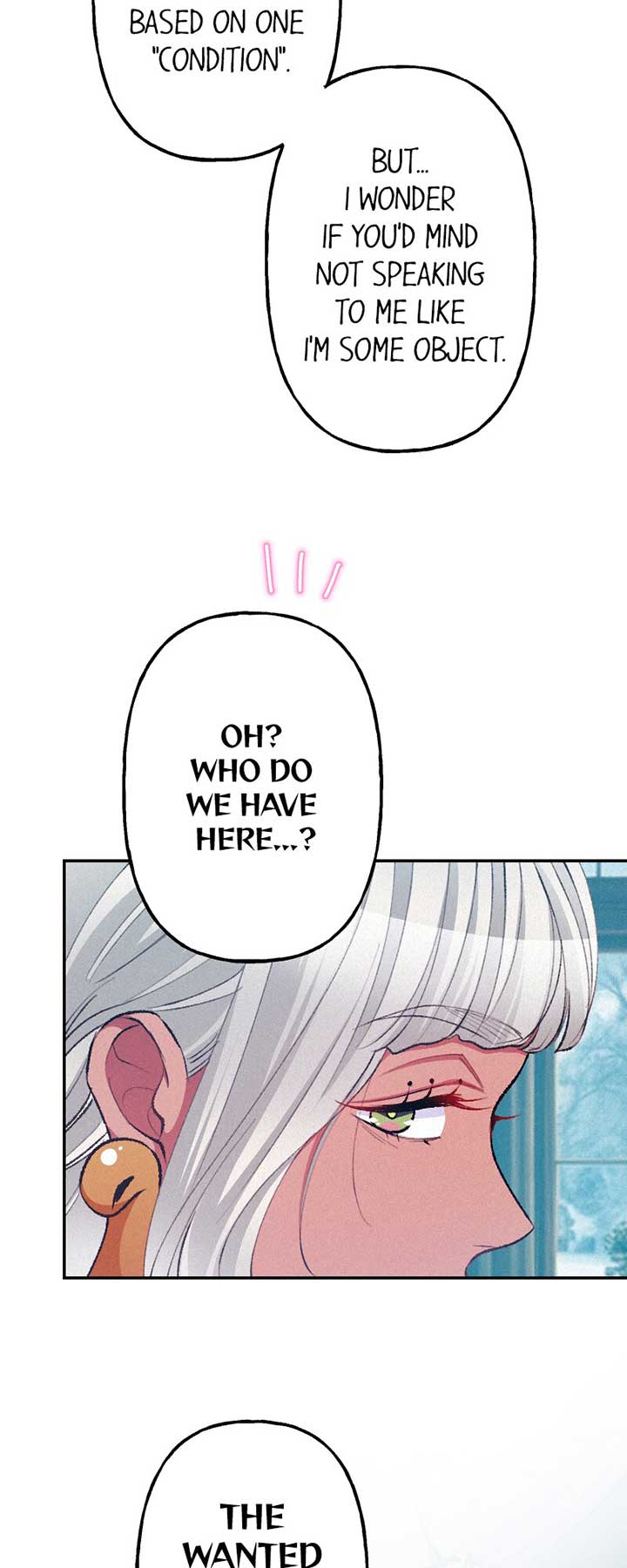 The Heat of the Reincarnated Villainess Chapter 114 209 19