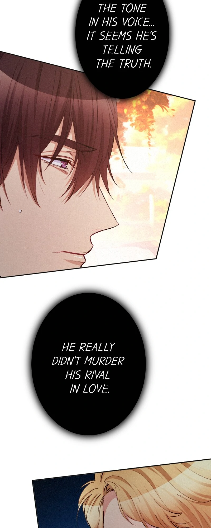 The Heat of the Reincarnated Villainess Chapter 133 208 024