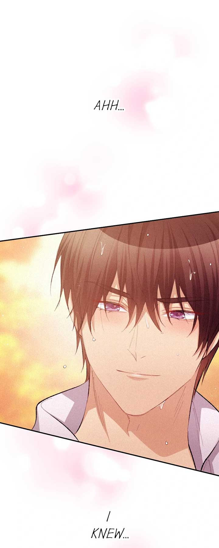 The Heat of the Reincarnated Villainess Chapter 157 219 41