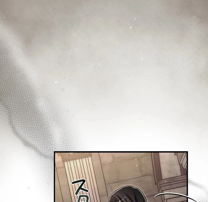 The Masked Revolution is Just for Your Sake Chapter 26 291 09
