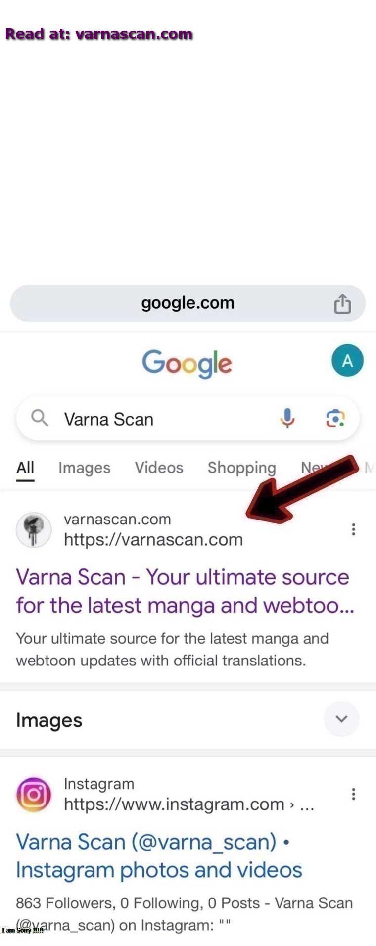 Useless Cinderella’s Feeble Attempt to Save the Kingdom Chapter 28 59 13