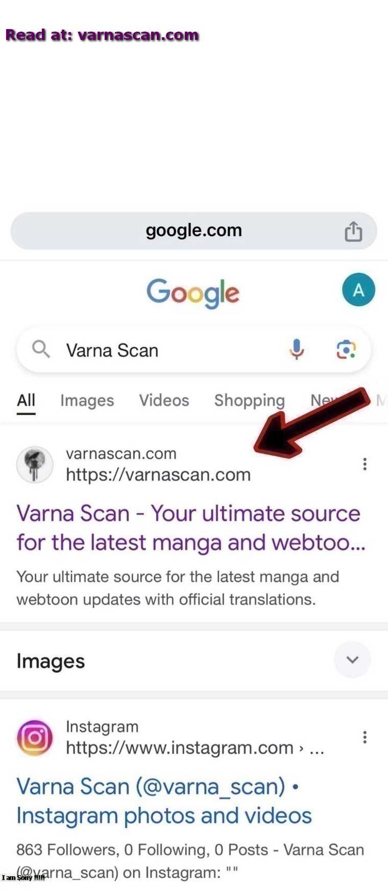 Useless Cinderella’s Feeble Attempt to Save the Kingdom Chapter 32 55 12