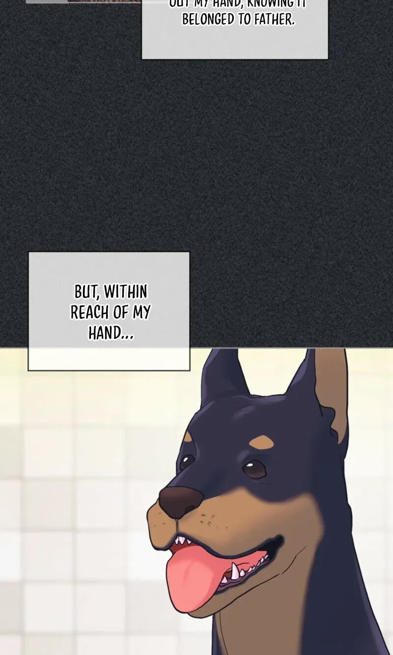 5c8c01a23126