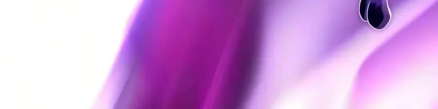 d48c4d98441d