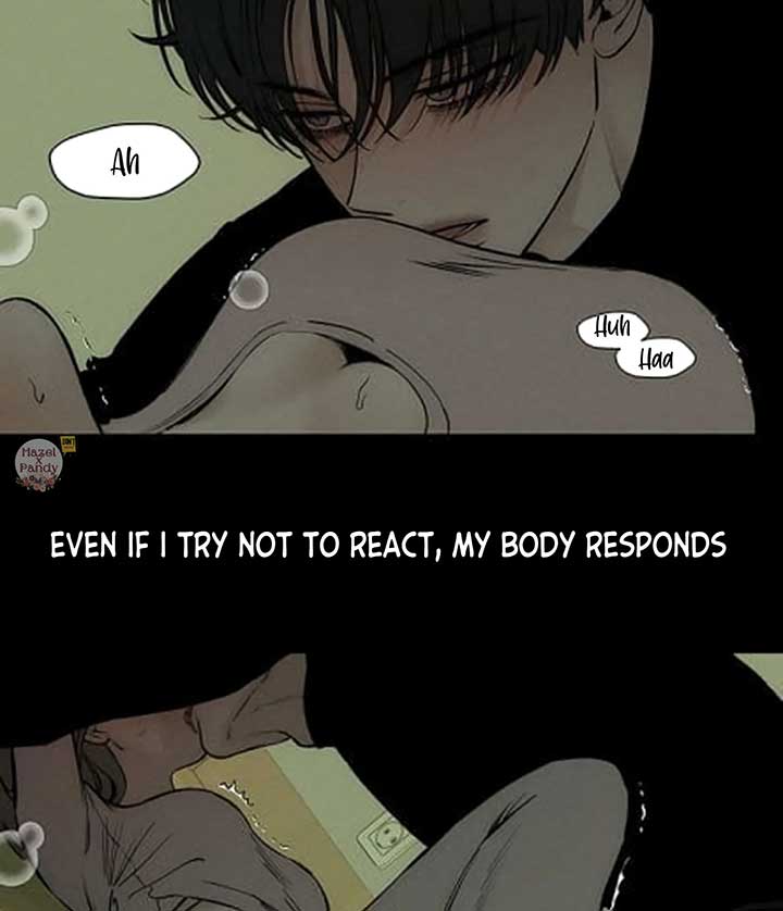 036