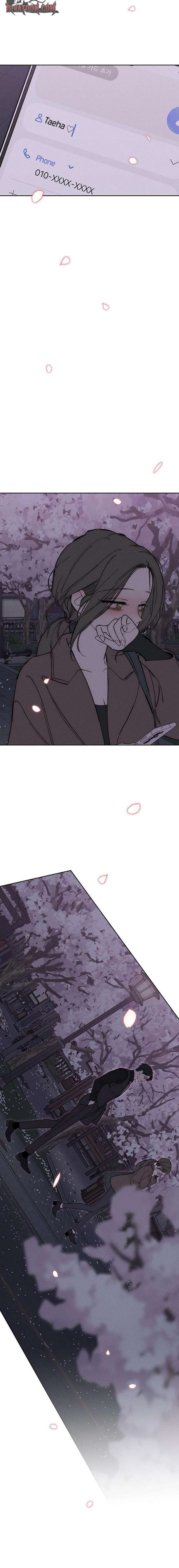 Tears on a Withered Flower Chapter 96 88 ch 96 16