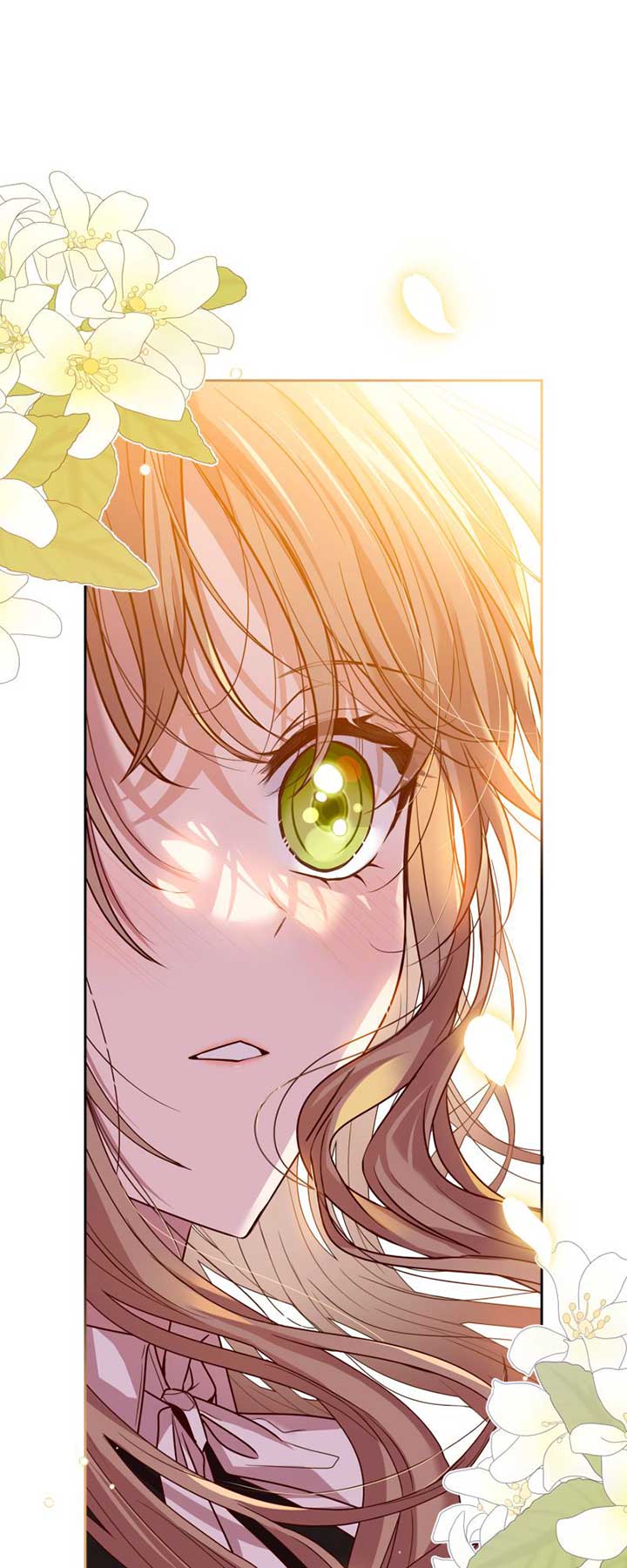 The Handmaiden Dreams at Sunset Chapter 1 372 087