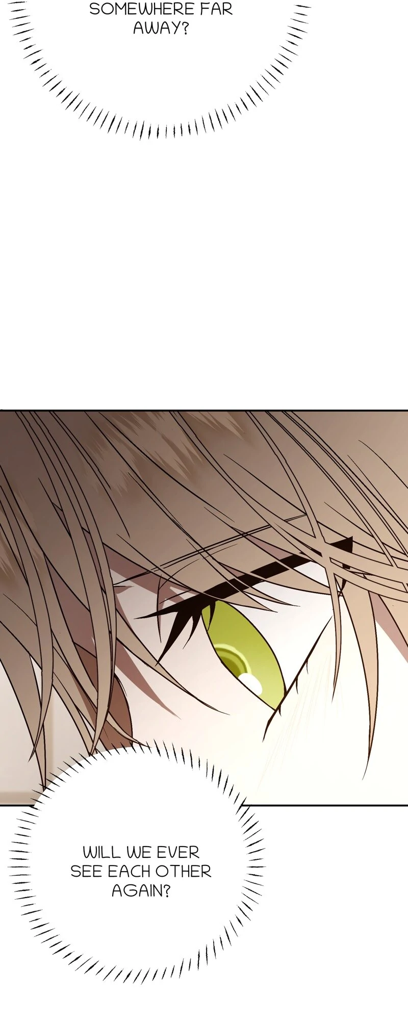 The Handmaiden Dreams at Sunset Chapter 65 287 52