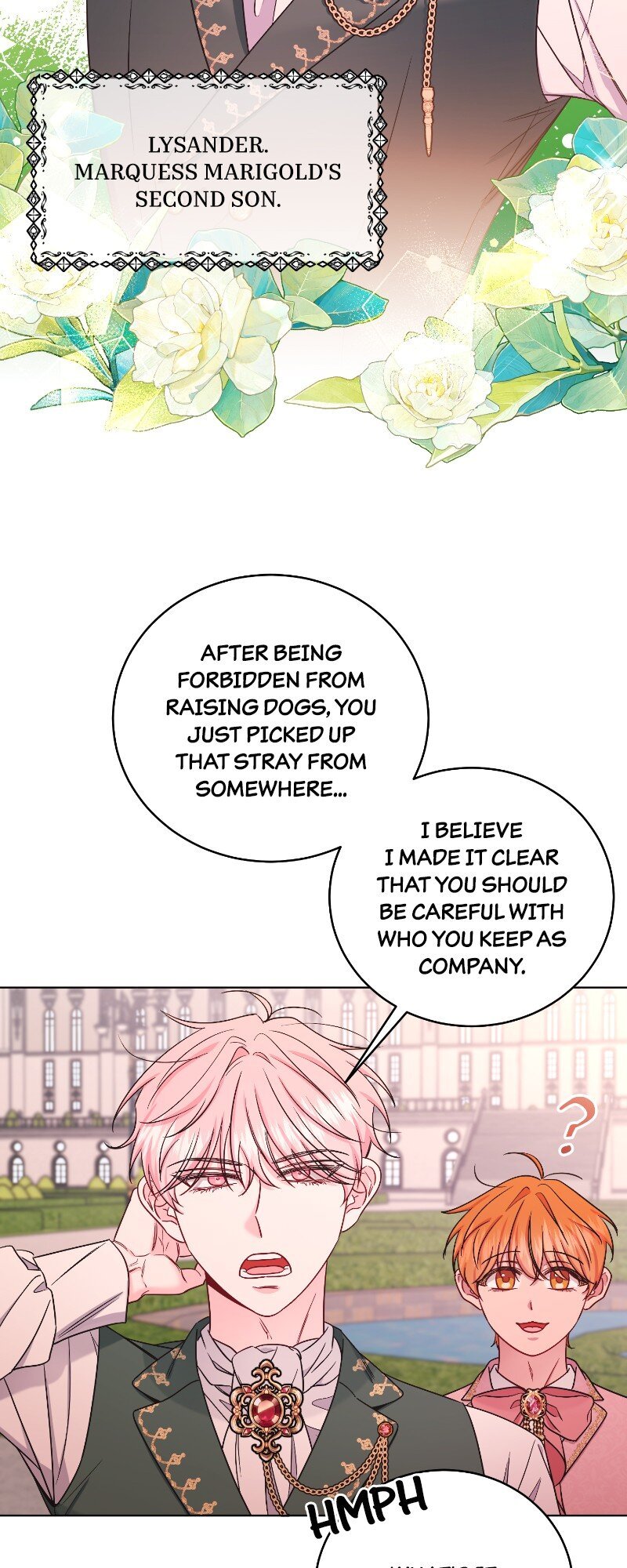 The Second Male Lead is Actually a Girl Chapter 46 250 48