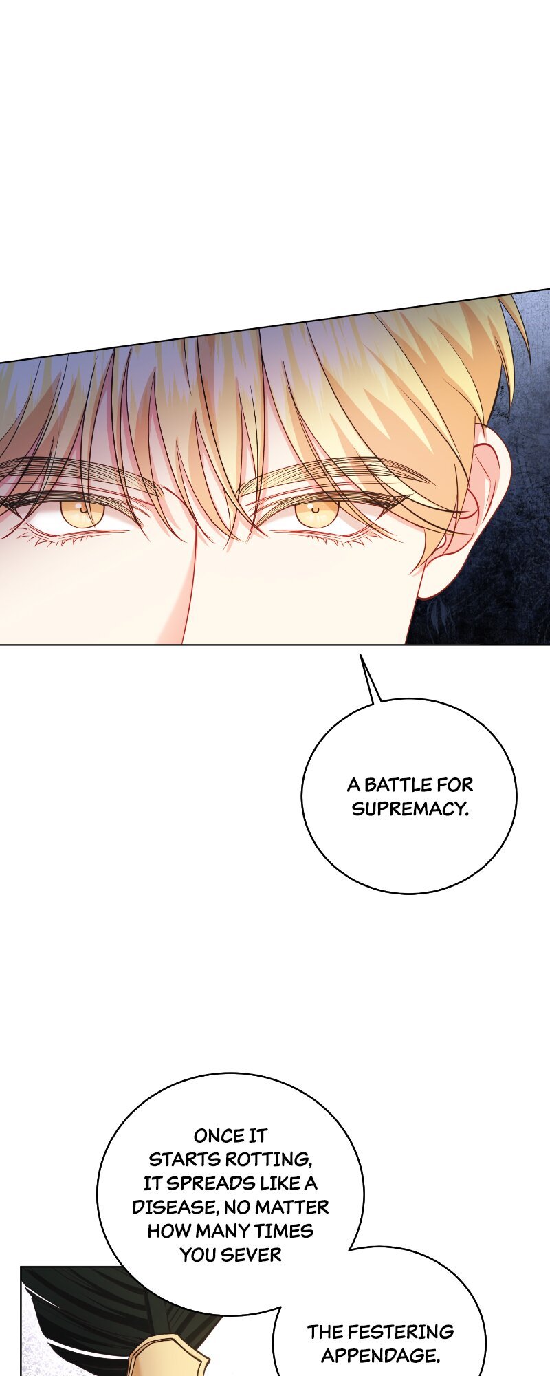 The Second Male Lead is Actually a Girl Chapter 48 281 31