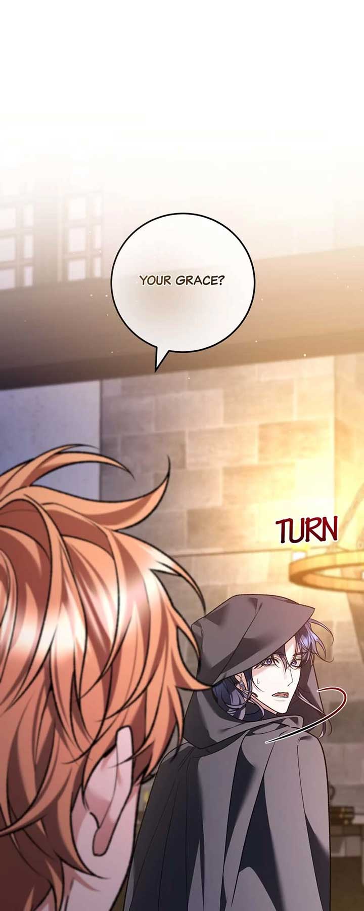 The Second Male Lead is Actually a Girl Chapter 57 291 41