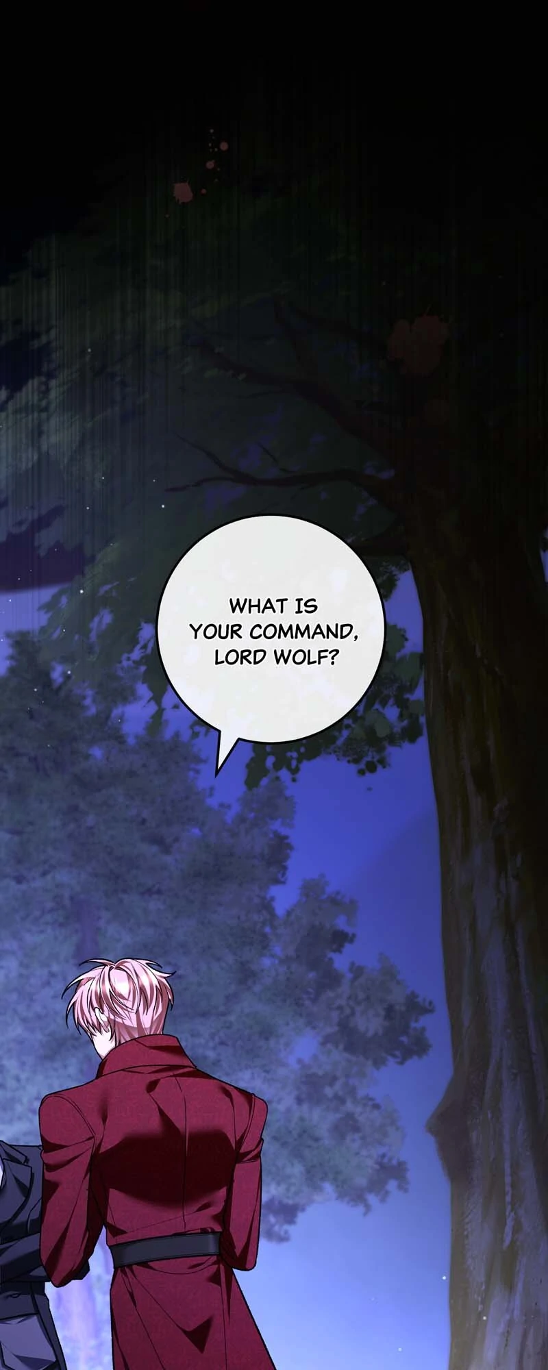 The Second Male Lead is Actually a Girl Chapter 60 337 66